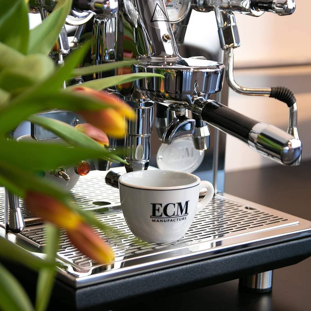 Cafetera espresso ECM Technika V Profi PID
