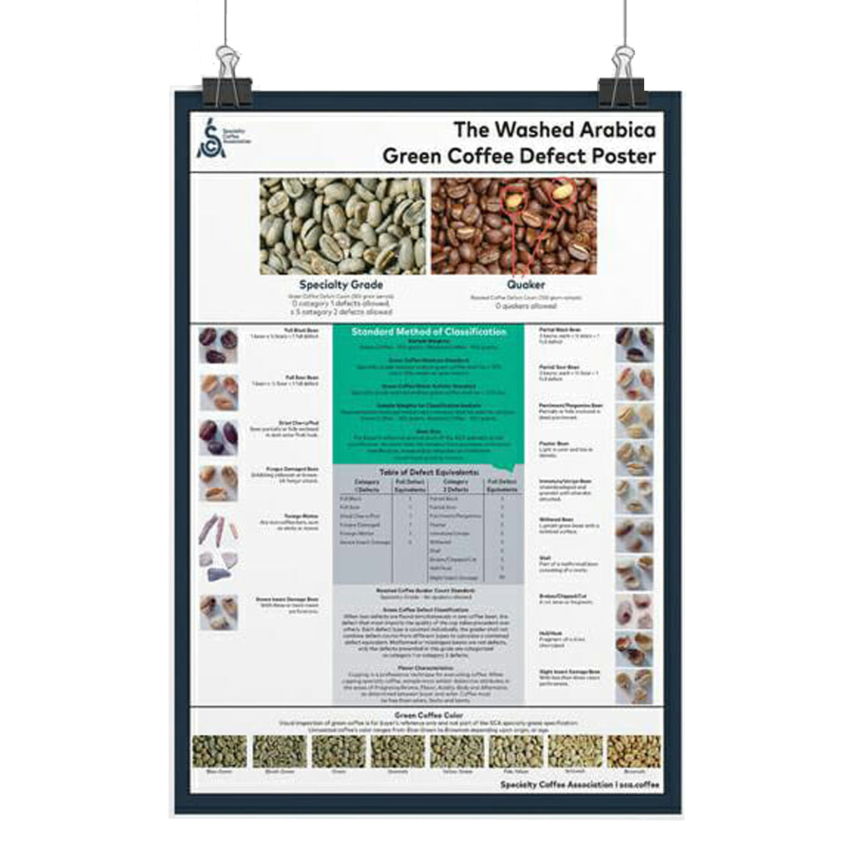 Póster Green Arabica Coffee Classification System Poster (Poster)